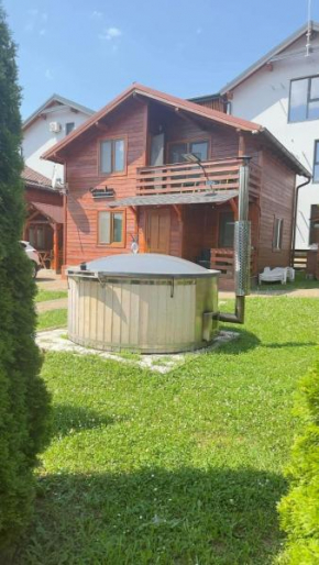 Cabana Irina Băile Figa